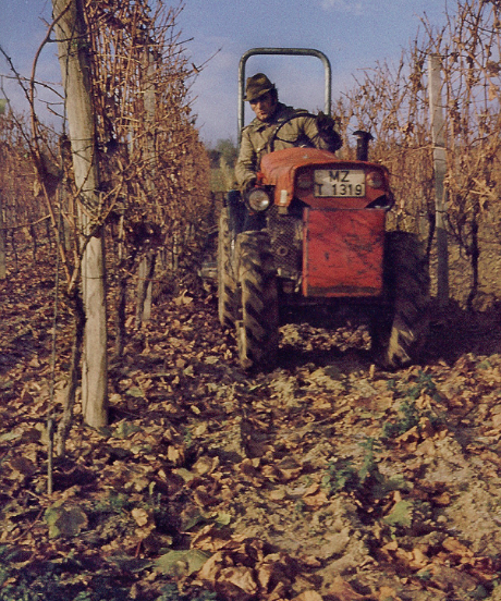 オッペンハイマー・クレーテンブルンネン・アウスレーゼ 「ひき蛙の泉」