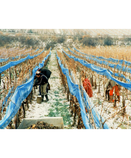 オッペンハイマー・クレーテンブルンネン・アウスレーゼ 「ひき蛙の泉」